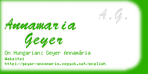 annamaria geyer business card